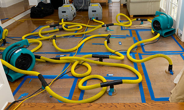 Professional Crawl Space Water Removal technician working in Manitou Springs, CO